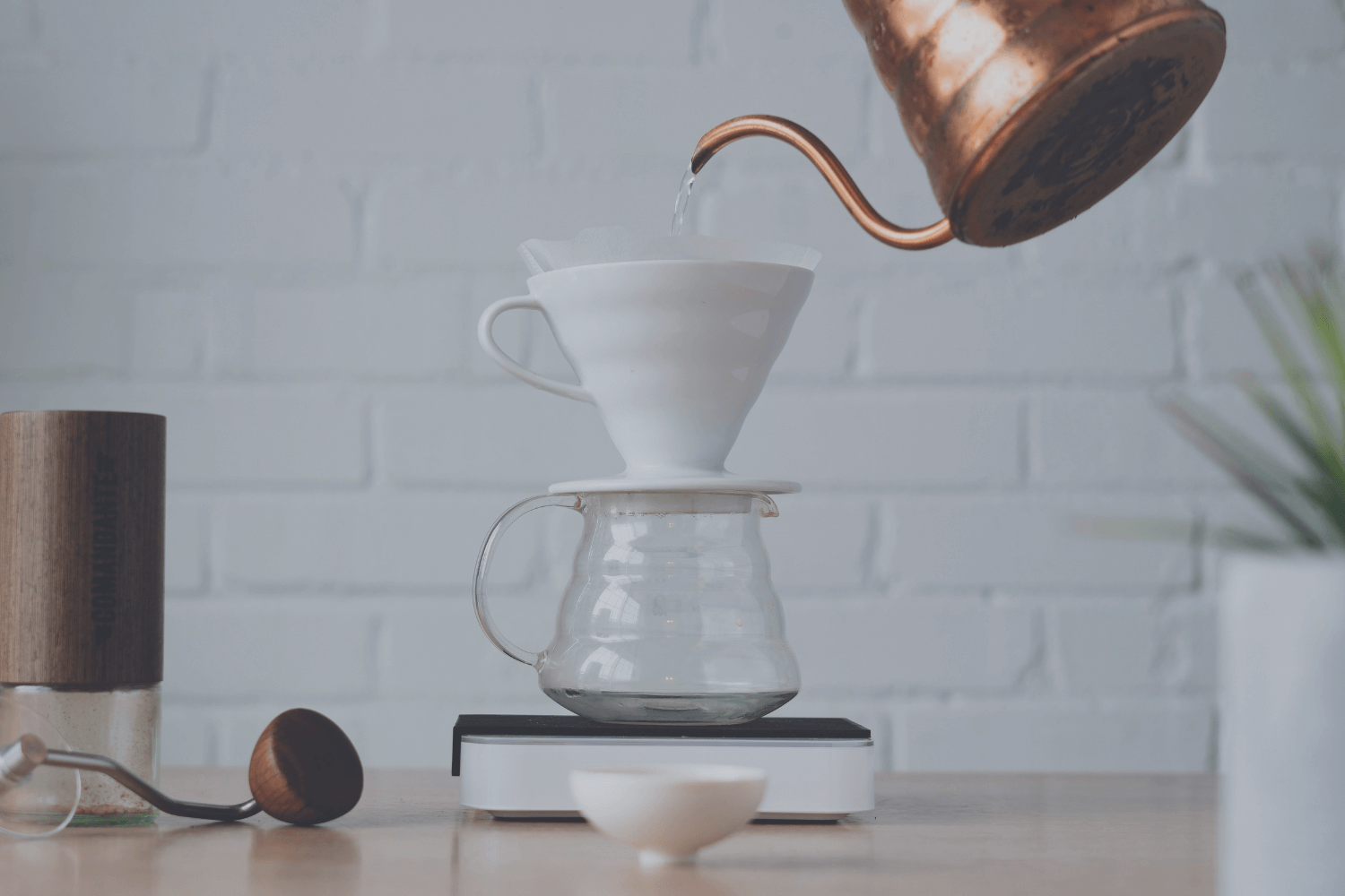 Pour Over Workshop
